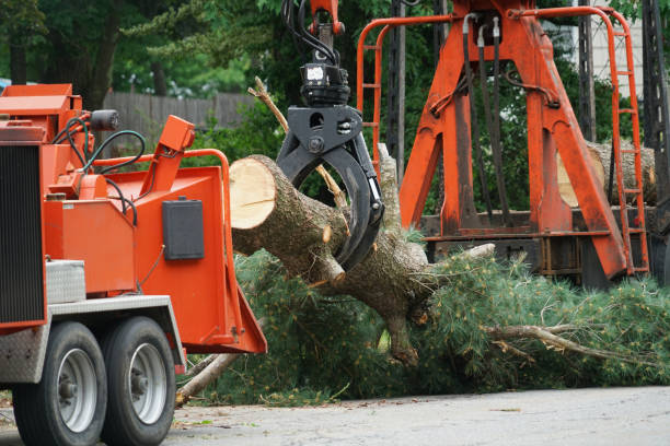 Seasonal Cleanup (Spring/Fall) in Beattystown, NJ